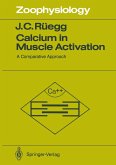 Calcium in Muscle Activation (eBook, PDF)