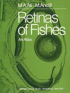 Retinas of Fishes (eBook, PDF) - Ali, Mohamed A.; Anctil, Michel
