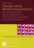 Disorganisierter Wohlfahrtskapitalismus (eBook, PDF)