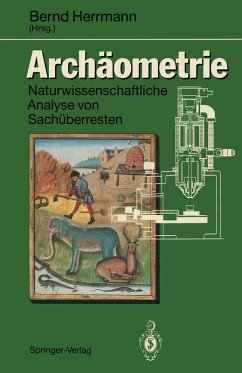 Archäometrie (eBook, PDF)