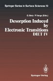 Desorption Induced by Electronic Transitions DIET IV (eBook, PDF)