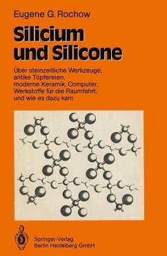 Cover Silicium und Silicone (eBook, PDF)