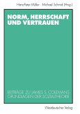 Norm, Herrschaft und Vertrauen (eBook, PDF)