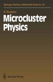 Microcluster Physics (eBook, PDF)