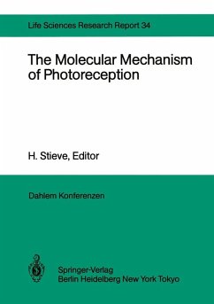 The Molecular Mechanism of Photoreception (eBook, PDF)
