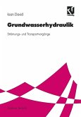 Grundwasserhydraulik (eBook, PDF)