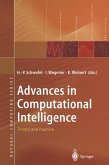 Advances in Computational Intelligence (eBook, PDF)