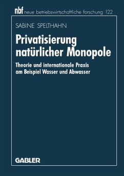 Privatisierung natürlicher Monopole (eBook, PDF) - Spelthahn, Sabine