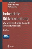 Industrielle Bildverarbeitung (eBook, PDF)