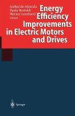 Energy Efficiency Improvements in Electric Motors and Drives (eBook, PDF)