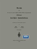 Bericht über die am 9., 10. und 11. Februar 1893 in Berlin vorgenommenen Prüfungen feuersicherer Baukonstruktionen (eBook, PDF)