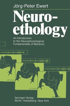 Neuroethology (eBook, PDF) - Ewert, J. -P.