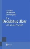 The Decubitus Ulcer in Clinical Practice (eBook, PDF)