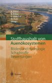 Stoffhaushalt von Auenökosystemen (eBook, PDF)