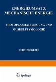 Energieumsatz (eBook, PDF)