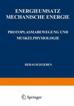 Cover Energieumsatz (eBook, PDF)
