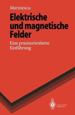 Elektrische und magnetische Felder (eBook, PDF) - Marinescu, Marlene