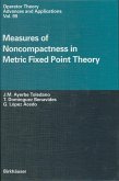 Measures of Noncompactness in Metric Fixed Point Theory (eBook, PDF)