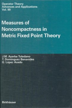 Measures of Noncompactness in Metric Fixed Point Theory (eBook, PDF) - Ayerbe Toledano, J. M.; Dominguez Benavides, T.; Lopez Acedo, G.