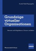Grundzüge virtueller Organisationen (eBook, PDF)