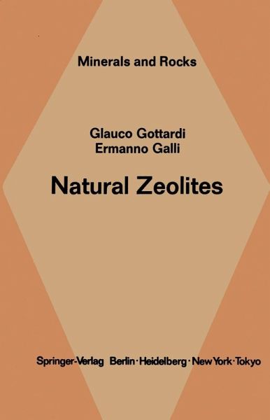 Natural Zeolites (eBook, PDF)