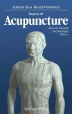 Basics of Acupuncture (eBook, PDF)