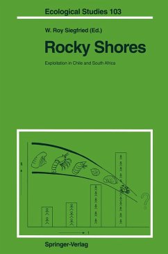 Cover Rocky Shores: Exploitation in Chile and South Africa (eBook, PDF)