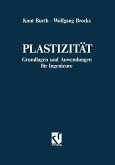 Plastizität (eBook, PDF)
