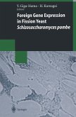 Foreign Gene Expression in Fission Yeast: Schizosaccharomyces pombe (eBook, PDF)