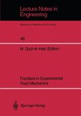 Frontiers in Experimental Fluid Mechanics (eBook, PDF)