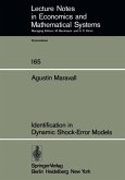 Identification in Dynamic Shock-Error Models (eBook, PDF)