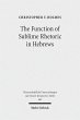 The Function of Sublime Rhetoric in... - Bild 1