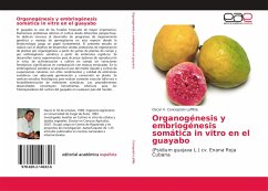 Organogénesis y embriogénesis somática in vitro en el guayabo