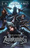 Soulstone: Awakening (eBook, ePUB)