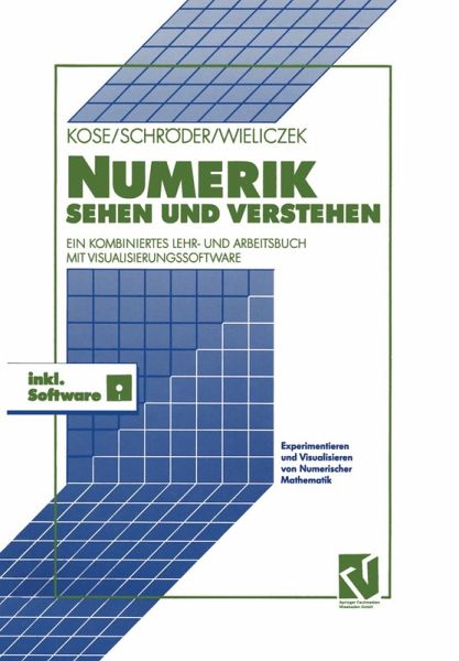 Numerik sehen und verstehen (eBook, PDF) Numerik sehen und verstehen (eBook, PDF)