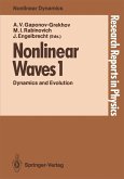 Nonlinear Waves 1 (eBook, PDF)