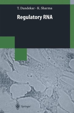 Cover Regulatory RNA (eBook, PDF)