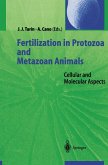 Fertilization in Protozoa and Metazoan Animals (eBook, PDF)