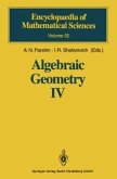Algebraic Geometry IV (eBook, PDF)