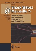 Shock Waves @ Marseille IV (eBook, PDF) Shock Waves @ Marseille IV (eBook, PDF)