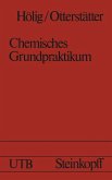 Chemisches Grundpraktikum (eBook, PDF)