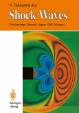 Shock Waves (eBook, PDF)