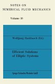 Efficient Solutions of Elliptic Systems (eBook, PDF)