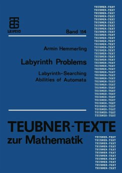 Labyrinth Problems (eBook, PDF)