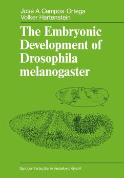 Cover The Embryonic Development of Drosophila melanogaster (eBook, PDF)