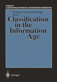 Classification in the Information Age (eBook, PDF)