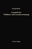 Grundriß der Wildbach- und Lawinenverbauung (eBook, PDF)