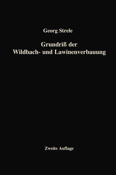 Grundriß der Wildbach- und Lawinenverbauung (eBook, PDF)