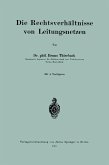 Die Rechtsverhältnisse von Leitungsnetzen (eBook, PDF)