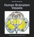 Human Brainstem Vessels (eBook, PDF)